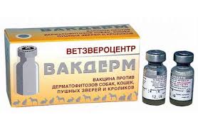 Без названия (1)