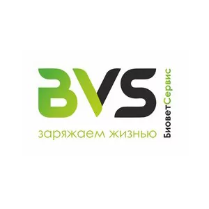 Витам Витам