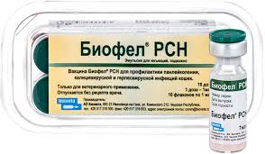 Без названия