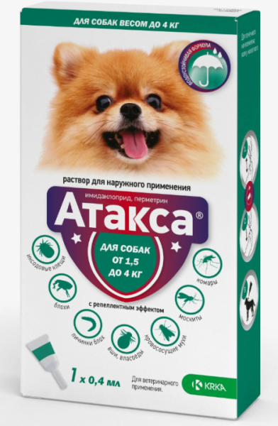 атакса