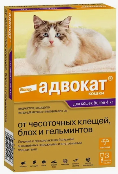 Снимок экрана 2024-08-18 172337