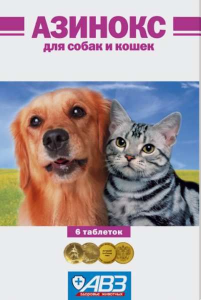 Снимок экрана 2024-08-21 163144
