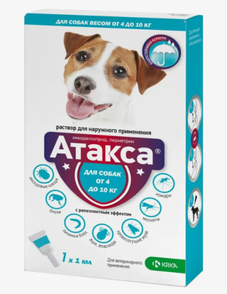 Снимок экрана 2024-08-22 085220