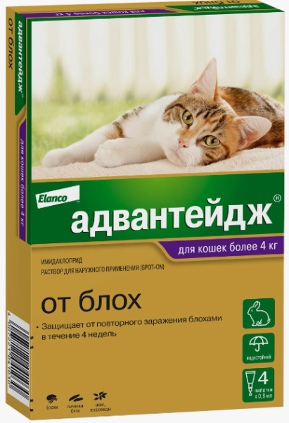 Снимок экрана 2024-08-18 172026