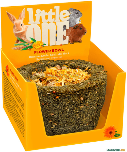 LITTLE_ONE_32070_1