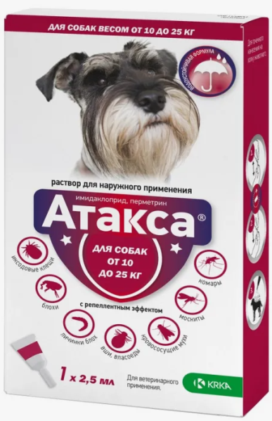 Снимок экрана 2024-08-22 085303