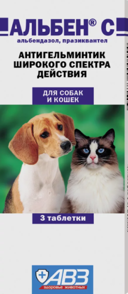 Снимок экрана 2024-08-21 163700